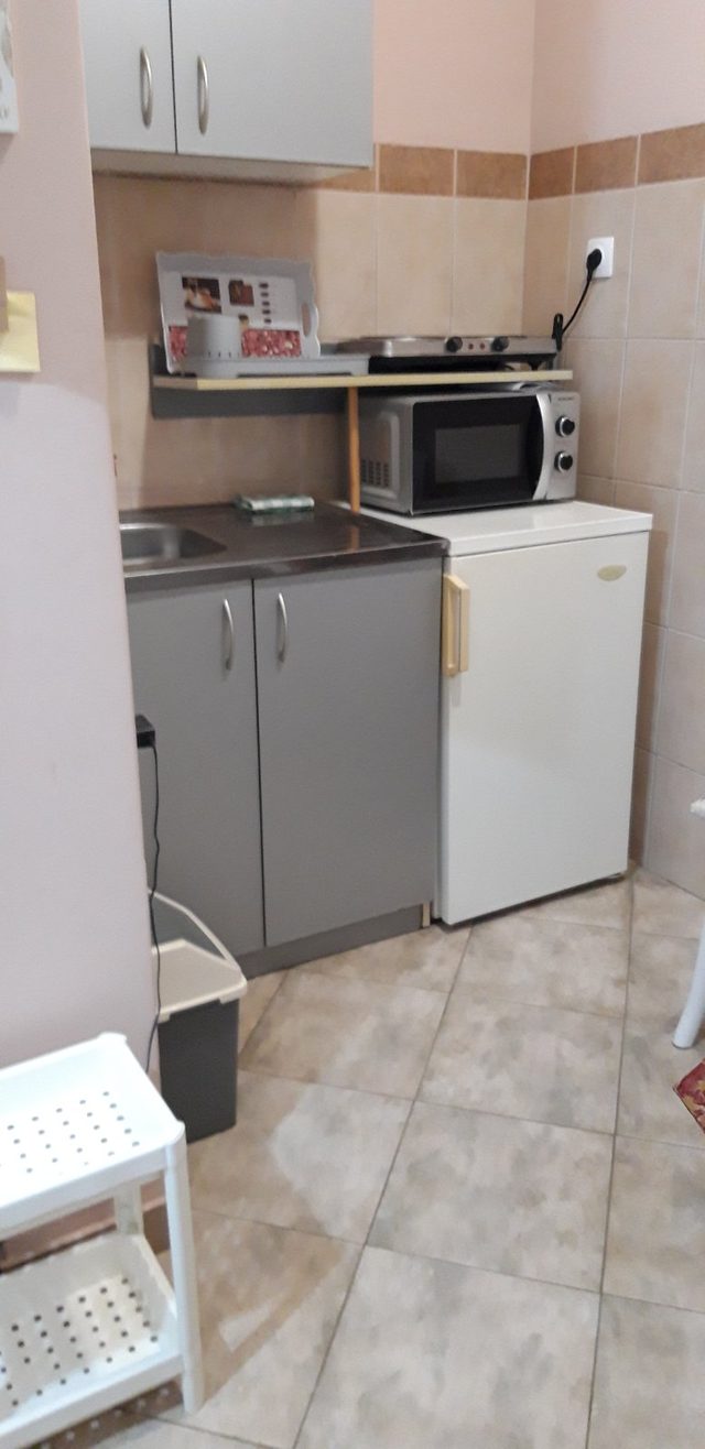 Apartman Studen - kuhinja